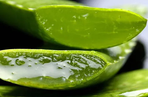 Why I use  Aloe Vera in my Hand Gel