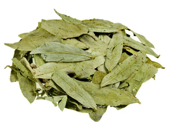Using Senna Leaves to Detox my colon